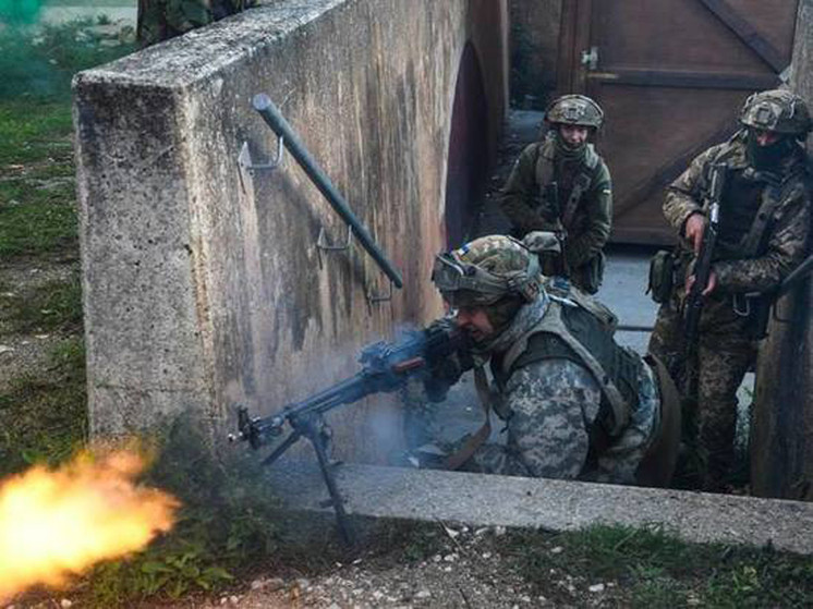 Сводка СВО на утро 3 августа: ВС РФ ударили по портовой инфраструктуре Измаила, у ВСУ неполучается продвинуться — последние новости с фронта сегодня 03.08.2023