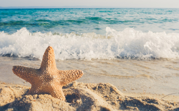 Нудисты в Европе массово протестуют против одетых отдыхающих