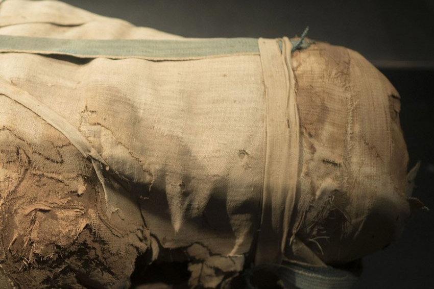 Через 100 лет после открытия боливийской мумии ученые узнали, что ее убило