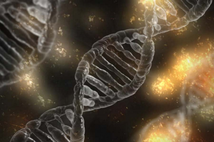 PNAS: палеогенетики расшифровали семейную систему 3800-летнего сообщества бронзового века