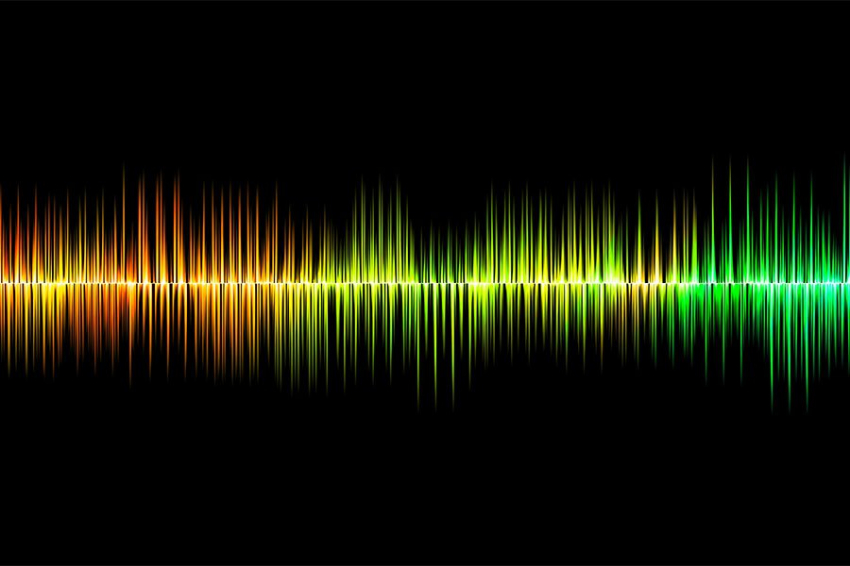 Израильские ученые предложили способ общения с животными с помощью ИИ