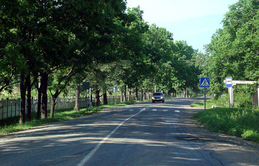 Автоэксперт Шкуматов объяснил новую разметку на российских дорогах и призвал не штрафовать за ее нарушение