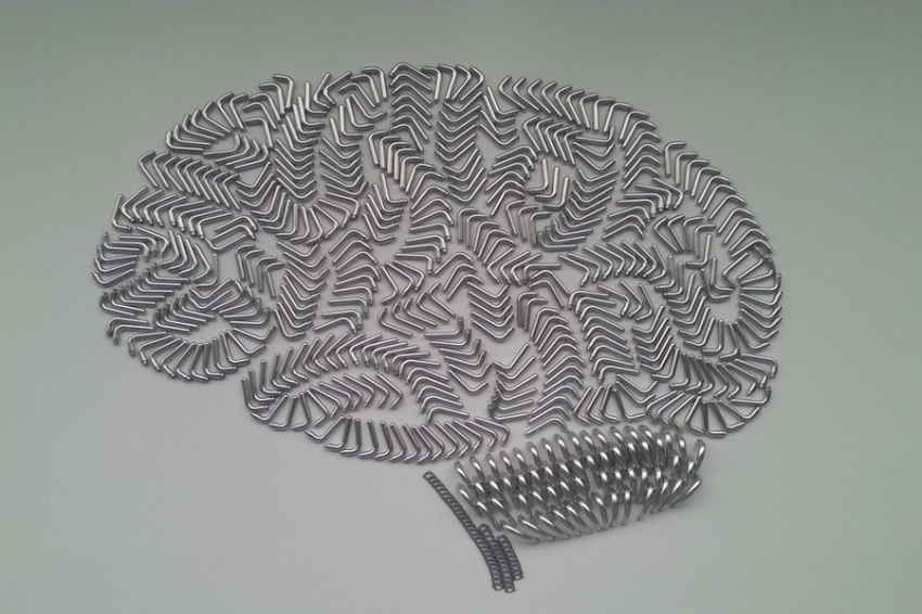 Эксперты назвали продукты MIND-диеты, помогающей работе мозга