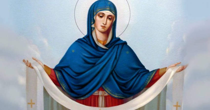 Календарь огородника подскажет, что нужно посадить до Покрова 2023 года