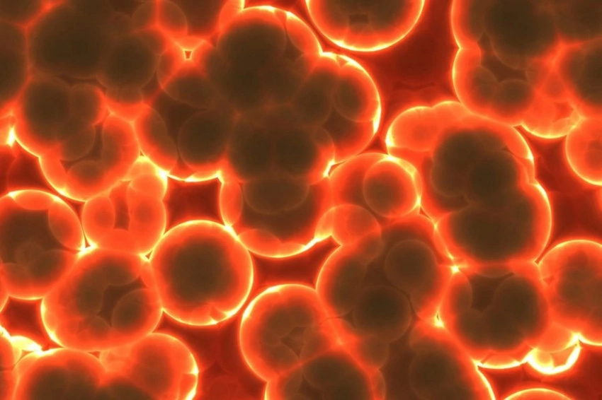 Некоторые бактерии развиваются как часы в соответствии со сменой времен года