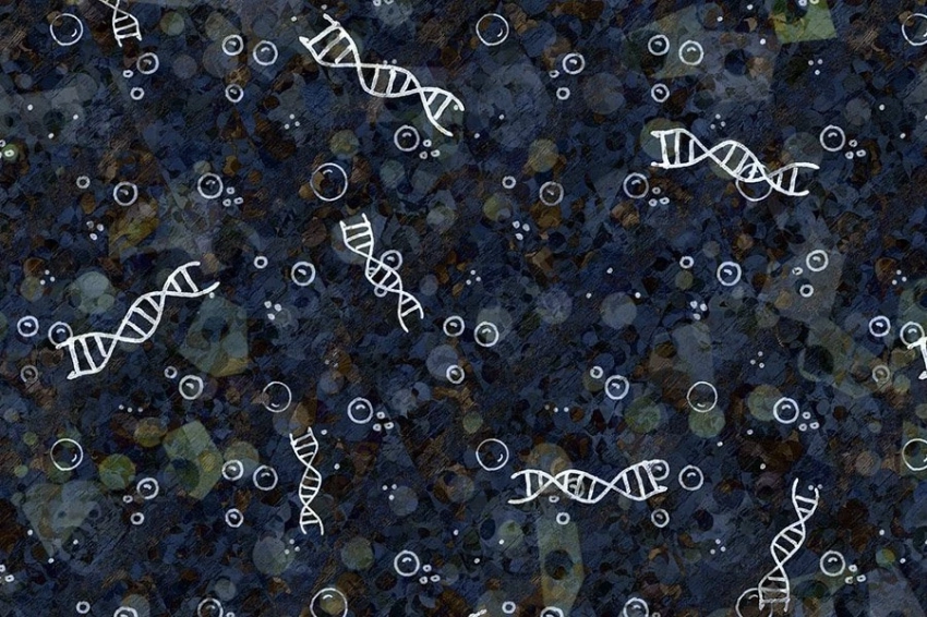 Выявлено неожиданное влияние Y-хромосомы на старение и болезни у мужчин