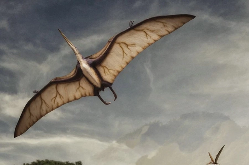 Останки гигантского хищного птерозавра обнаружены в Аризоне