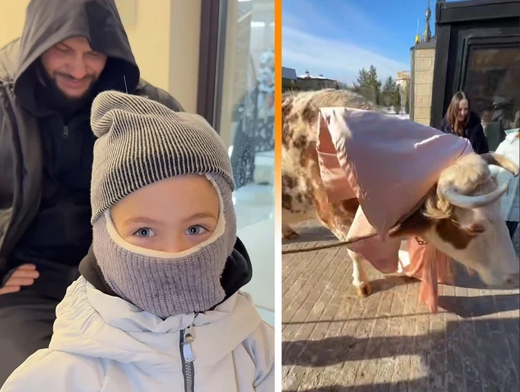 Оксана Самойлова и Джиган подарили своему сыну на пятилетие настоящую корову