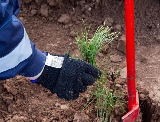 Экологический менеджмент подтверждает успешность программ KAMA TYRES