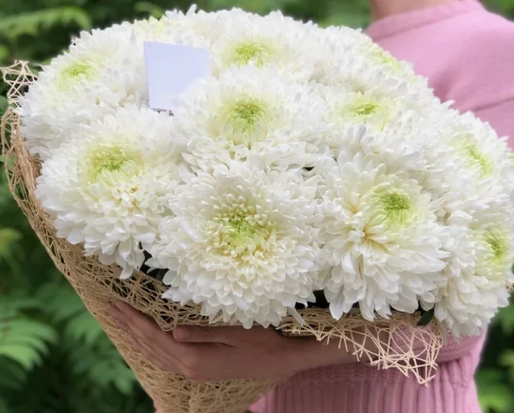 Тяжелая символика: 6 цветов, которые нельзя дарить на первом свидании, чтобы не испортить карму и не убить любовь