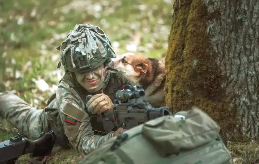 Литва готова направить на Украину свой военный контингент