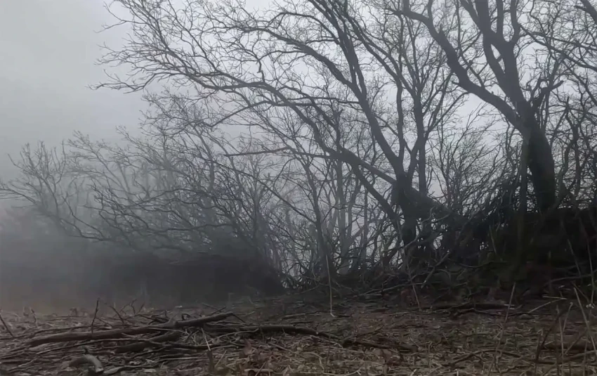 ВС РФ освободили Цветковое в Запорожской области и Голубовку в ДНР